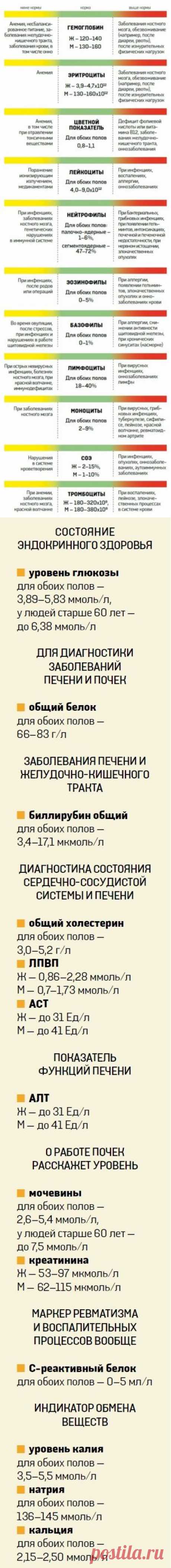 О чем расскажет анализ крови - Новости Украины - From-UA