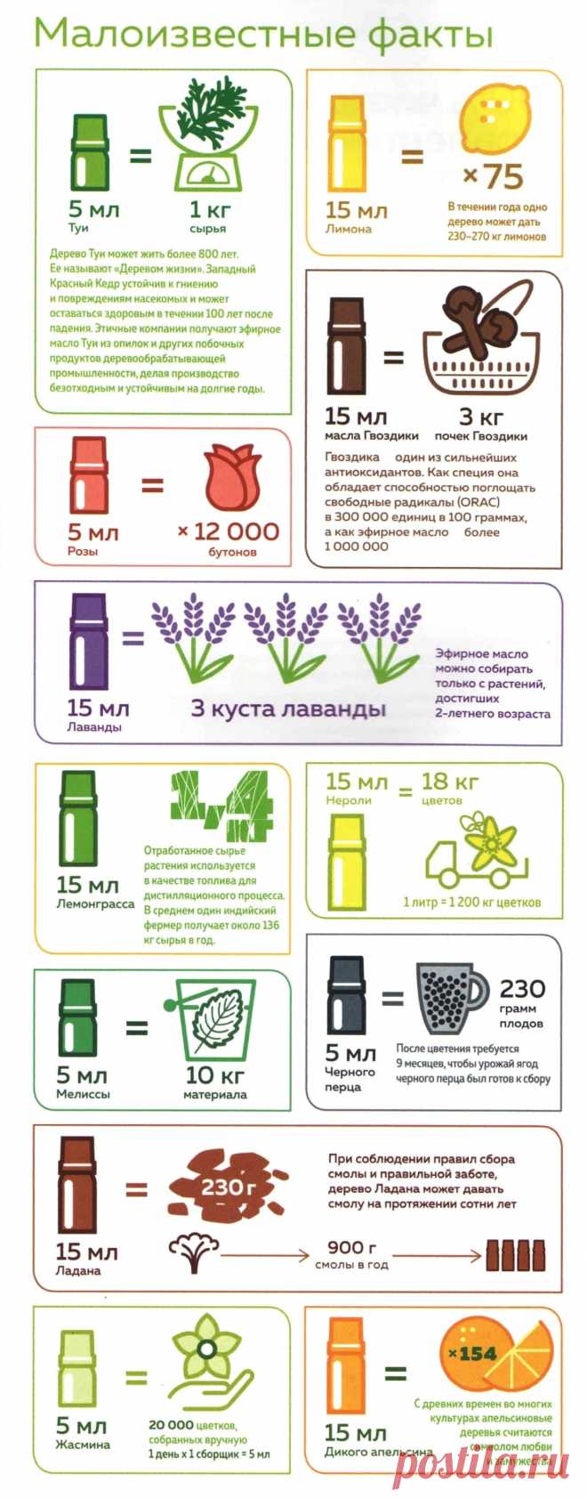 Малоизвестные факты об эфирных маслах