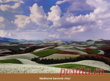 Волшебное место на просторах Китая Dongchuan Red Soil - место на юго-западе города Куньмин, столицы провинции Юньнань, горная долина 2600 футов над уровнем моря. Из-за отдаленности и отсутствия инфраструктуры это место не причислено в туристическую карту Китая. Оно было открыто в середине 1990-х.Поскольку почва содержит...