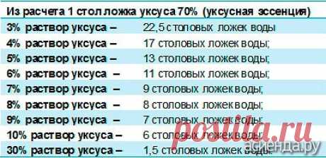 Кое что об уксусе: Группа Практикум садовода и огородника