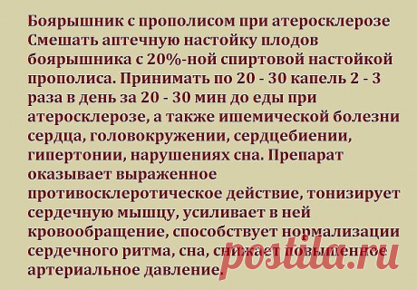 Боярышник с прополисом при атеросклерозе
