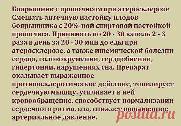 Боярышник с прополисом при атеросклерозе