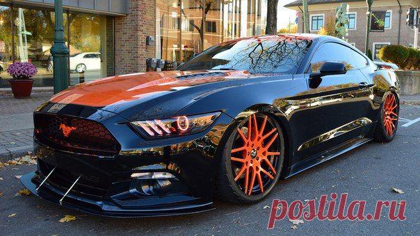Ford Mustang / Только машины