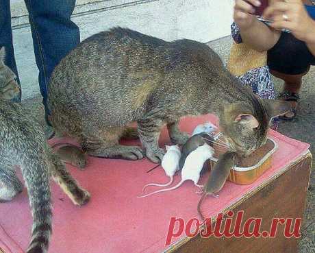 Можете ли вы в это поверить?