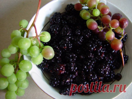 Рецепты соусов из кислого и незрелого винограда: соус к мясу и рыбе