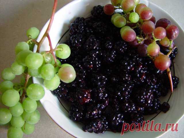 Рецепты соусов из кислого и незрелого винограда: соус к мясу и рыбе