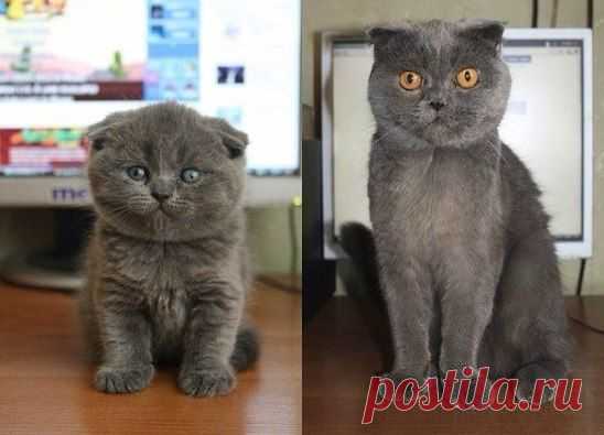2 года спустя.