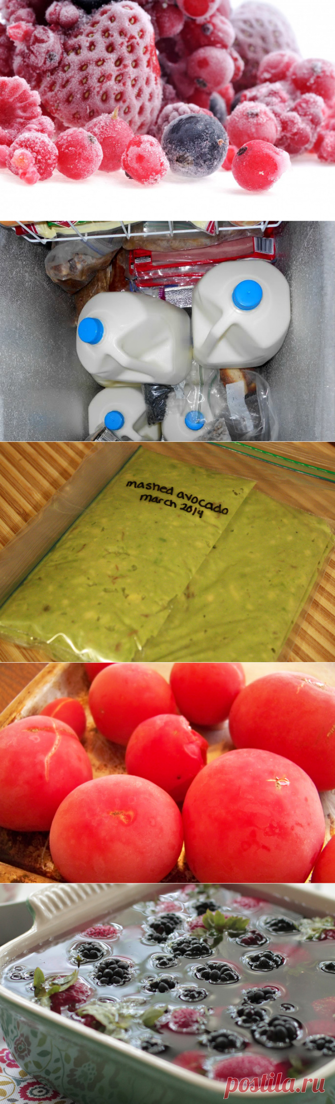 Cекреты быстрой заморозки и разморозки продуктов