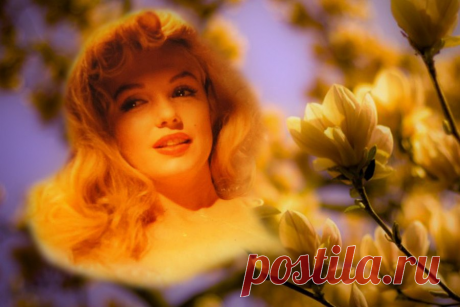 Мерлин Монро(фоторисовалка) Монро Мэрилин (Monroe Marilyn) (1926–1962), американская киноактриса.
Родилась 1 июня 1926 в благотворительном приюте больницы графства Лос Анджелес. Урожденная Норма Джин Мортенсон (Norma Jeane Mortenson); по другой версии Норма Джин Бейкер (Norma Jeane Baker).
Мать девочки Гледис Пирл Монро (Gladys Pearl Monroe) происходила из бедной семьи, постоянно скитавшейся в поисках заработка.