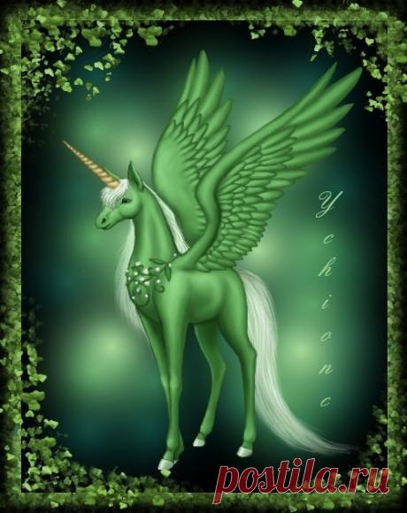 Аликорн - дитя единорога и пегаса » Сайт о лошадях KoHuKu.ru