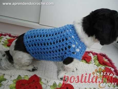 Roupinha de Croche Cãozinho Fashion - Aprendendo Crochê