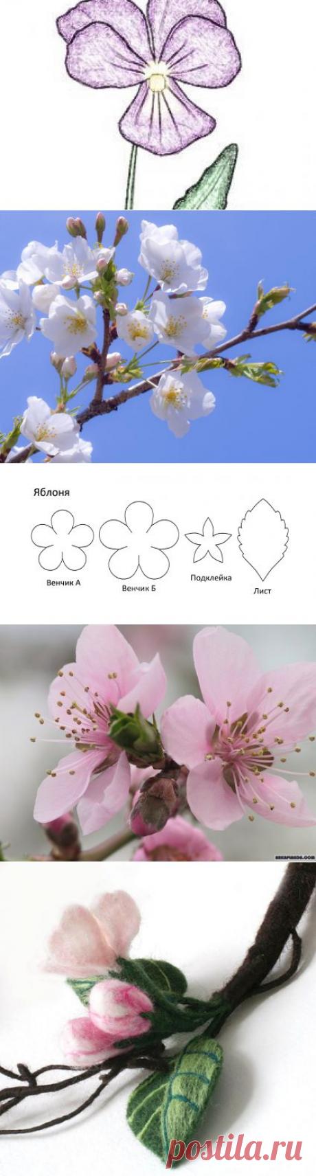 Выкройки для цветов. Яблоня. Фиалка :: Втворчестве.ru