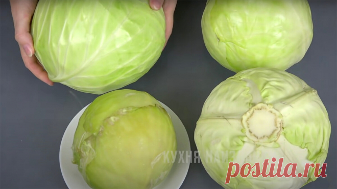 Как просто и вкусно приготовить обычную капусту на ужин: бюджетно выходит и в пост разрешается | Кухня наизнанку | Яндекс Дзен