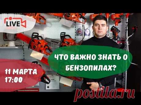 Все, что нужно знать о бензопилах: выбор оборудования, работа двигателя, правильная эксплуатация