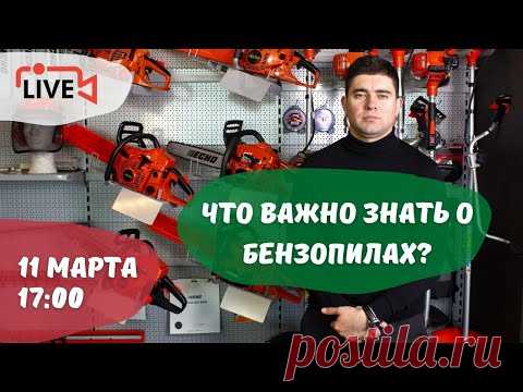Все, что нужно знать о бензопилах: выбор оборудования, работа двигателя, правильная эксплуатация