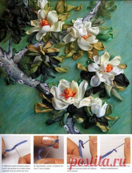 Советы новичкам