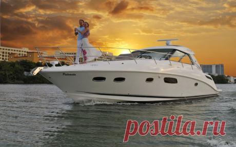 caribbean - Поиск в Google