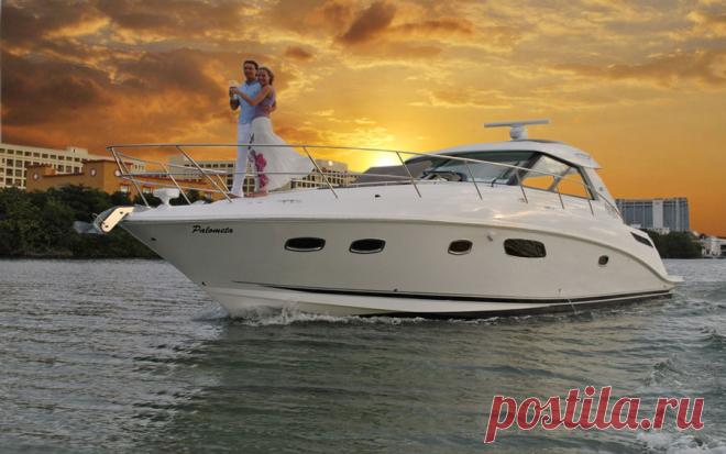 caribbean - Поиск в Google