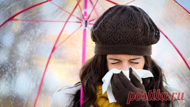 В России зафиксировали всплеск заболеваемости гонконгским гриппом. В России фиксируют рост респираторных инфекций, причем в большинстве случаев выявляется штамм А(H3N2), известный как "гонконгский" грипп. Об этом сообщили ТАСС в Роспотребнадзоре. По данным ведомства, он составил 80,9% от всех ...