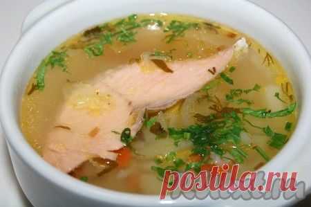 Суп из горбуши (рецепт с фото) | RUtxt.ru