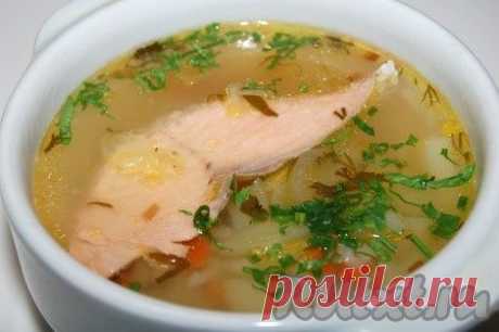 Суп из горбуши (рецепт с фото) | RUtxt.ru