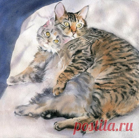 Что за прелесть мой Мурлыка! Акварельные кошки