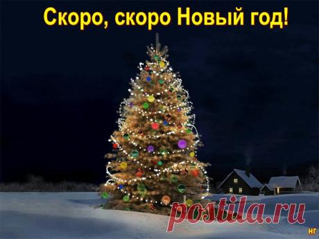 "Наступает Новый год, дождик третьи сутки льёт.... - Валентина Коваль