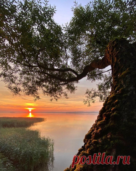 i (1080×1350)