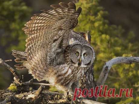 Лучшие фотографии National Geographic за апрель 2014