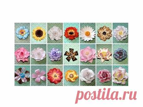 Paper Flowers Tutorial - YouTube