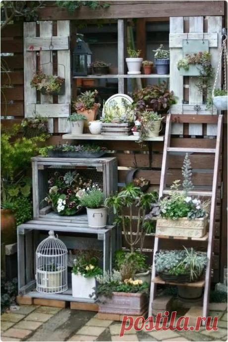 Винтажный огородик: 1 тыс изображений найдено в Яндекс Картинках