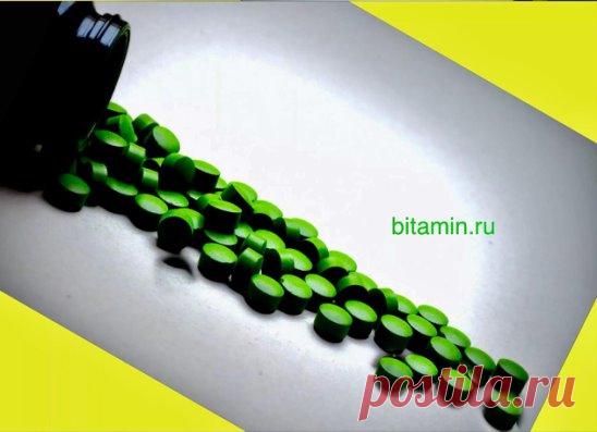 Хлорелла — что это?
Хлорелла — один из самых распространенных в мире микроорганизмов — повсеместно распространена в пресных водоемах, почве и увлажняемых поверхностях. Как правило, именно размножением этой водоросли обуславливается «цветение» водоемов летом и появление зеленого осадка на стенках сосудов с водой. Она запросто может прижиться в организме животных, и в небольших количествах встречается даже в кишечнике человека. При этом хлорелла не является паразитом, скорее ее сосуществование с