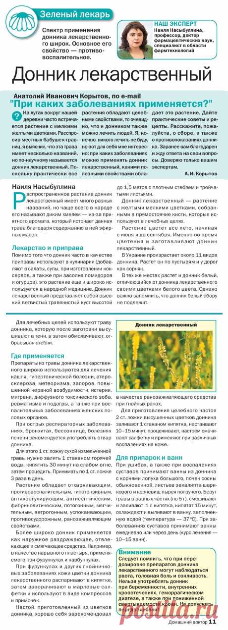 Донник лекарственный