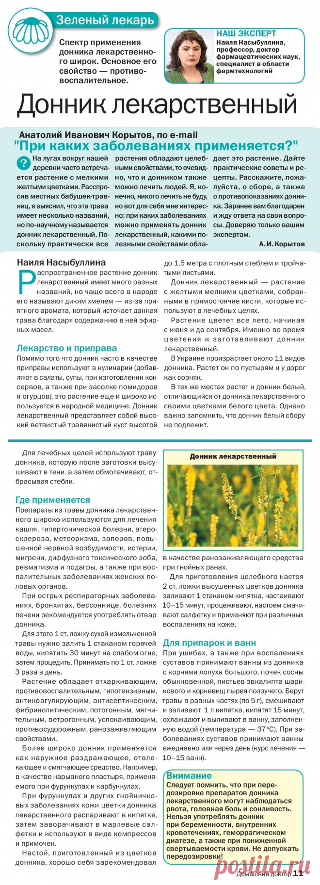 Донник лекарственный