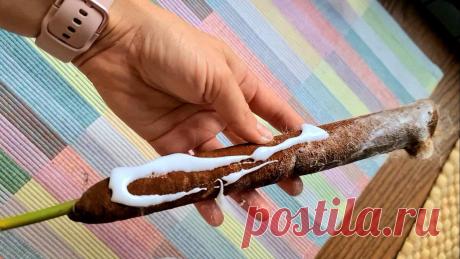 Не верьте приметам — несите домой соцветия рогоза! Будем делать удивительно красивый мех
Приметам мы не верим, да и вам не советуем. Нам в детстве разрешали таскать с речки «стрелки» рогоза, который многие принимают за камыш, столько радости …
Читай дальше на сайте. Жми подробнее ➡