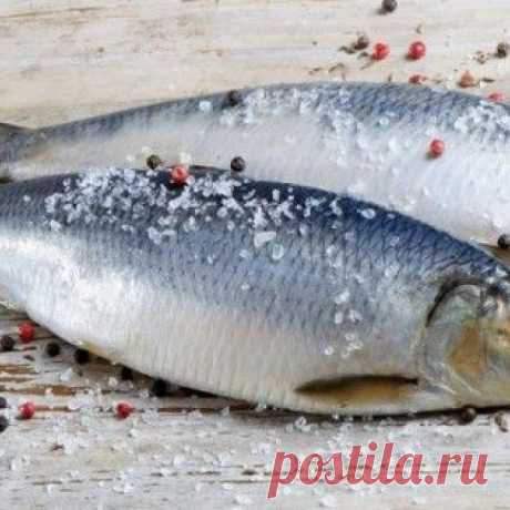 Как легко и быстро почистить селедку от костей Важно знать, как быстро почистить селедку, чтобы соленую закуску не испортил неприятный хруст косточек. Из филе сельди готовят разнообразные блюда. Подготовить мякоть для салатов и паштетов за считаные минуты просто. Этому может научиться любая хозяйка.