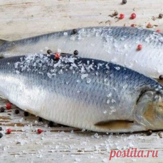 Как легко и быстро почистить селедку от костей Важно знать, как быстро почистить селедку, чтобы соленую закуску не испортил неприятный хруст косточек. Из филе сельди готовят разнообразные блюда. Подготовить мякоть для салатов и паштетов за считаные минуты просто. Этому может научиться любая хозяйка.
