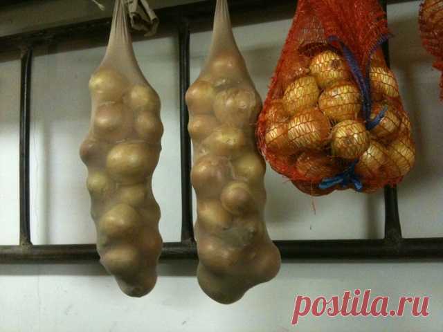 Как использовать старые колготки