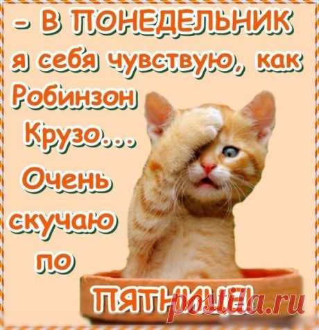 (2312) Pinterest