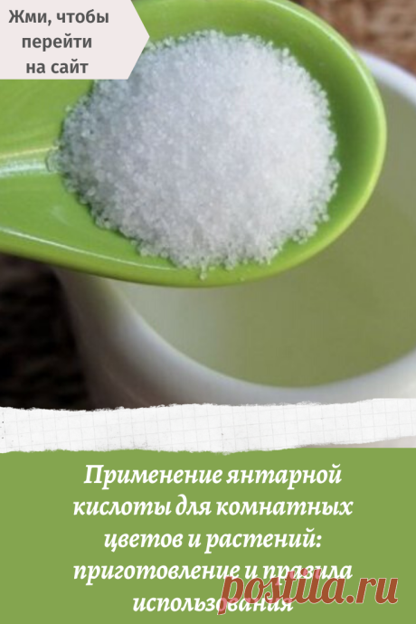 Применение янтарной кислоты для комнатных цветов и растений: приготовление и правила использования