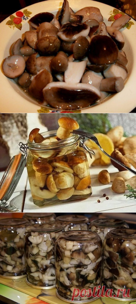 Маринование грибов