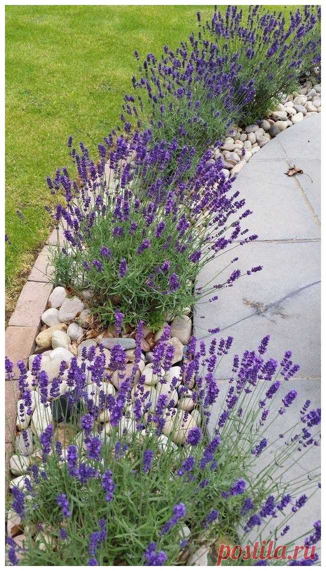 49 easy and low maintenance front yard landscaping ideas 26 ~ vidur.net 49 easy and low maintenance front yard landscaping ideas 26