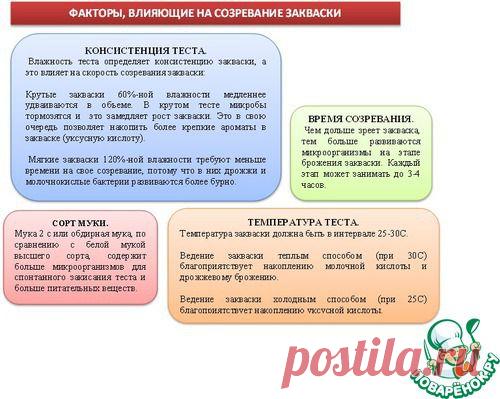 Закваска – полезная альтернатива хлебопекарным дрожжам. Часть 1 - кулинарная статья