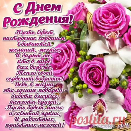Ольга Рыбакова