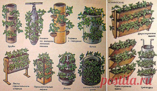 Вертикальные клумбы: как сделать — Сделай сам, идеи для творчества - DIY Ideas