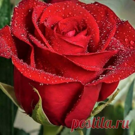 Интересные новости