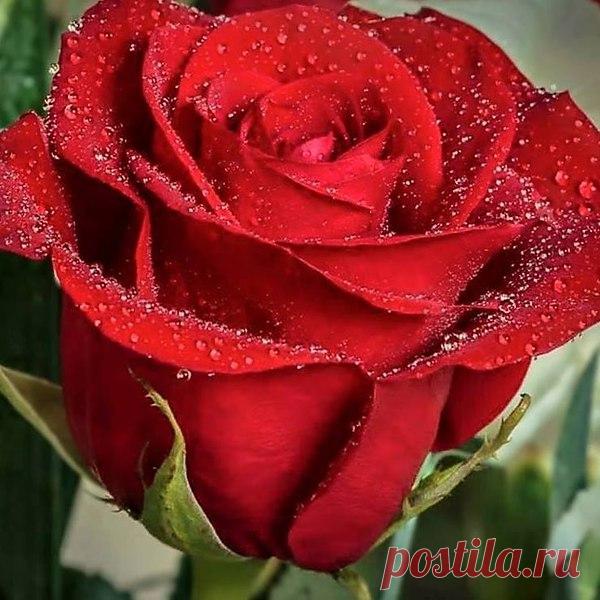 Интересные новости