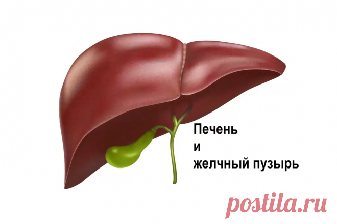 Завтрак за 65 рублей и желчный в 40+ будет как в 20 лет: пара секретов и ешьте что хотите (китайские секреты) | Yoga Roggelin онлайн школа йоги | Дзен