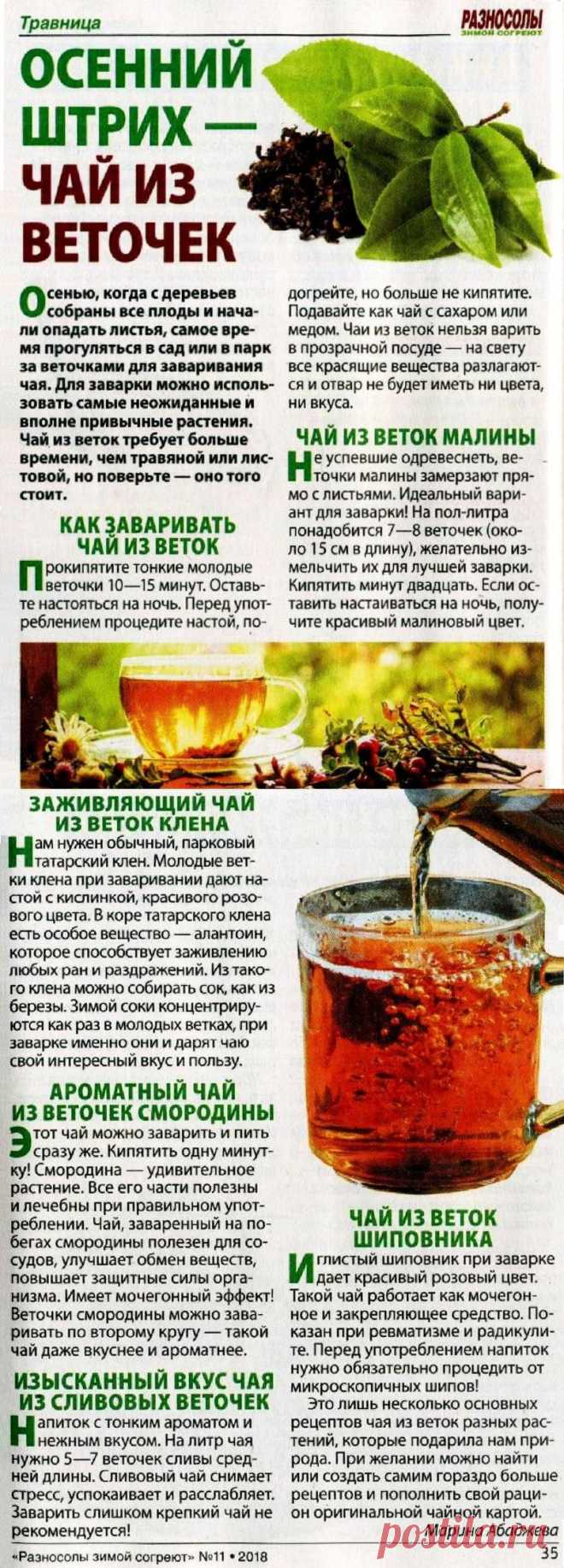 Чай из веточек