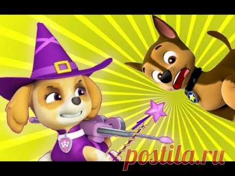 Psi Patrol Po Polsku Bajki Dla Dzieci - Zabawna Dla Dzieci - Psi Patrol Po Polsku [2018] Odcinki 1
